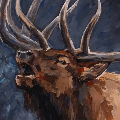 Dramatic Bull Elk Bugle, detail view 1