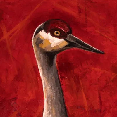 Sandhill Crane Family, detail of the cranes' plumage and red crowns in Jeff Miller's bold, textured brushwork